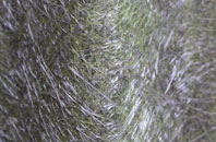 Salvington fibreglass roof work